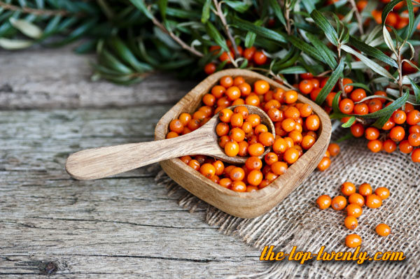 Sea buckthorn